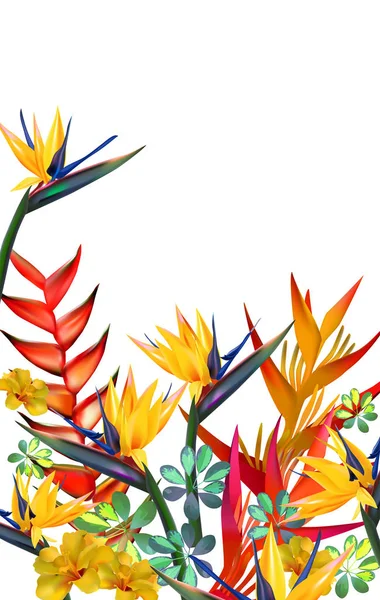 Vektor Illustration Tropischer Blumen Orms Für Wellness Design Exotische Reisen — Stockvektor