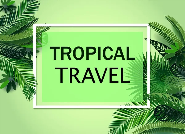 Hojas Tropicales Papel Corte Estilo Para Diseño Viajes Exóticos Tropicales — Archivo Imágenes Vectoriales