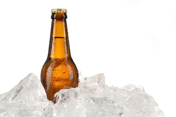 Bier im Eis. Nahaufnahme. weißer Hintergrund — Stockfoto