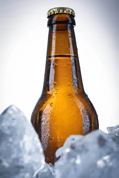Foto vinheta de cerveja no gelo. Fecha. Fundo branco — Fotografia de Stock