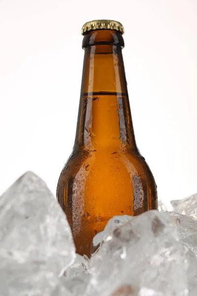 Bottle of beer in ice cubes. Close up. White background