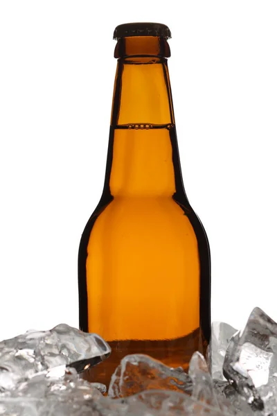 Ale in ice. Close up. White background — Stock Photo, Image