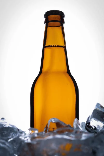 Bottle of malt in ice cubes. Close up. White background — Stock Photo, Image