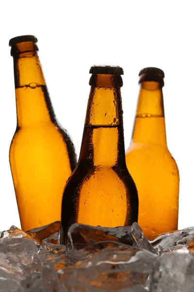 Tre bottiglie di birra nel ghiaccio. Chiudete. Fondo bianco — Foto Stock