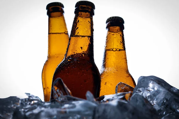 Foto vinheta de algumas garrafas de cerveja no gelo. Fecha. Fundo branco — Fotografia de Stock