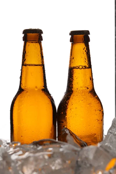 Couple of bottles of beer in ice. Close up. White background — Stock Photo, Image