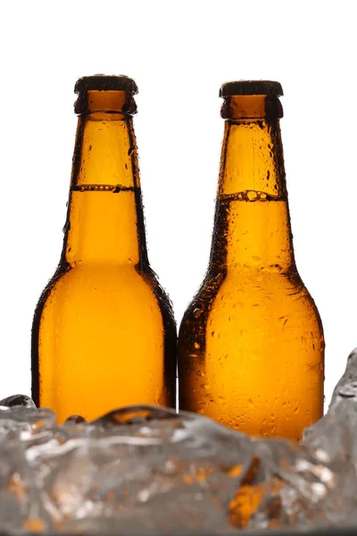 Two bottles of cider in ice cubes. Close up. White background — Stock Photo, Image