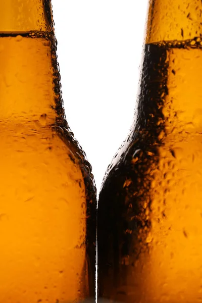 Two bottles of beer with drops. Close up. White background