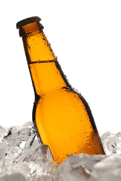 Bottle of malt in ice. Close up. White background — Stock Photo, Image