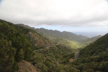 Kanarya Adaları'nda yeşil tepeler