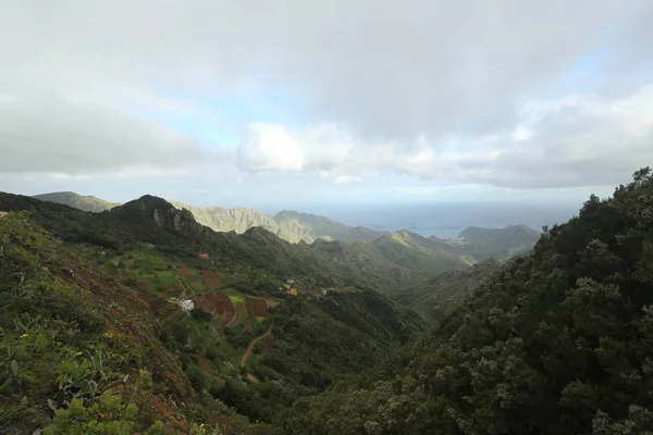 Kanaryalar, güzel manzara