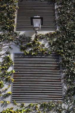 Lamba kapalı sarmaşık duvar tarafından