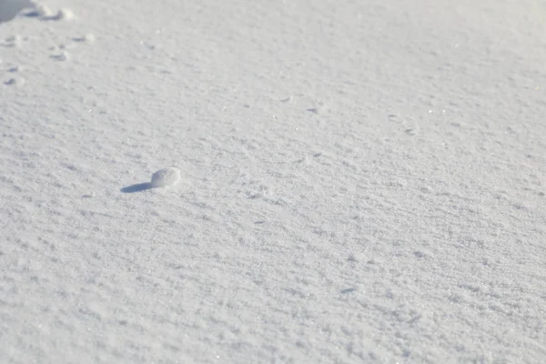 Neve. Fechar — Fotografia de Stock