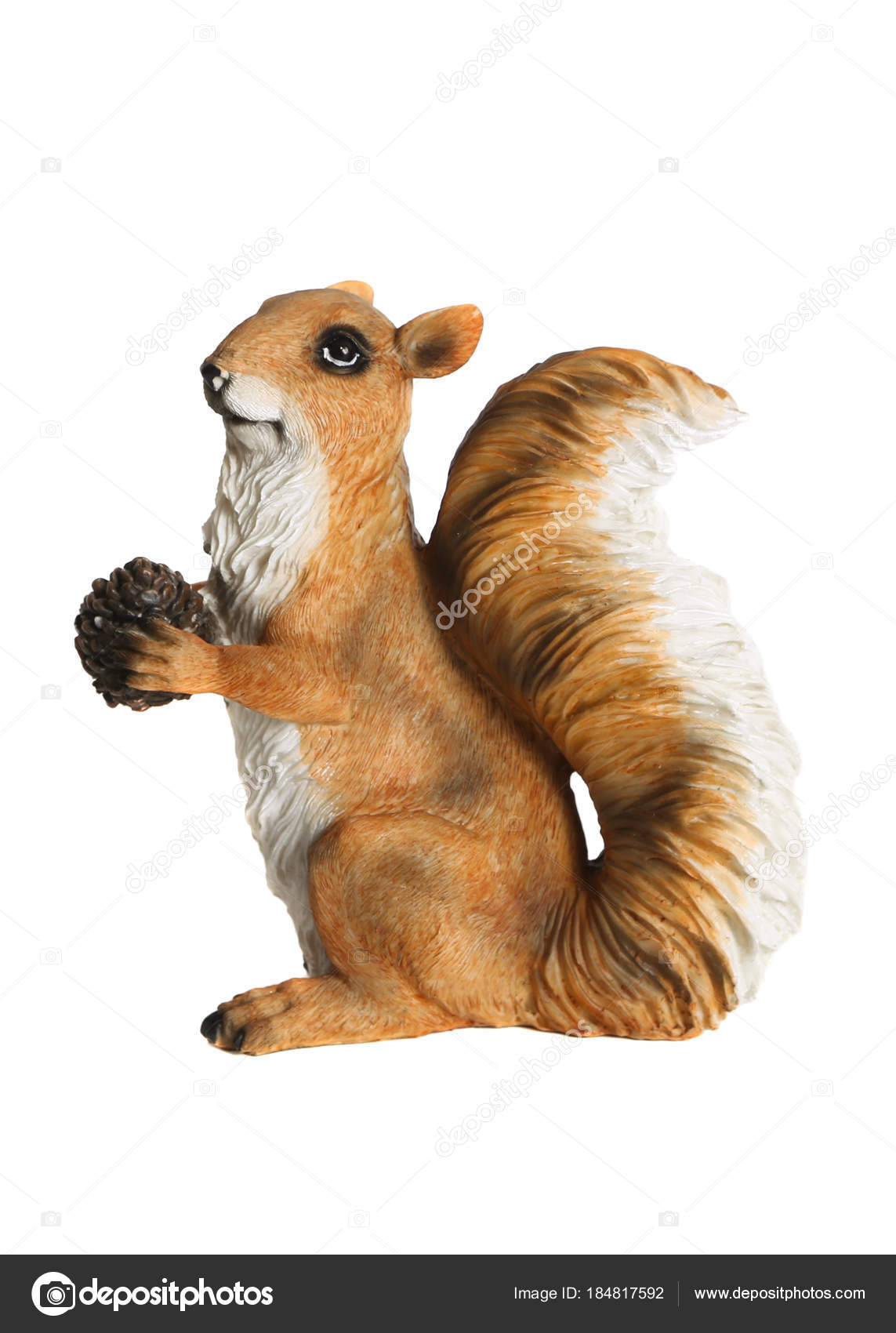 Ardilla de Fondo blanco — Foto de stock #184817592