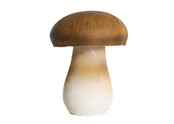 陶瓷香菇。白色背景 — 图库照片