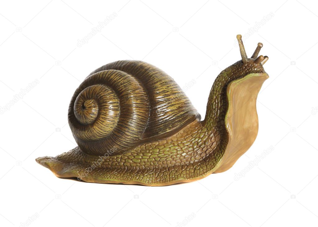 Snail statuette. White background