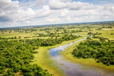 Aerial view of the Okavango delta. clipart