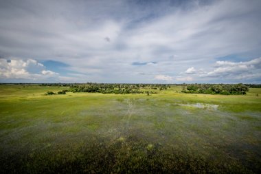 Okavango Delta havadan görünümü.