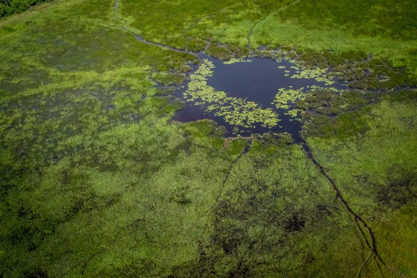 Okavango Delta havadan görünümü.