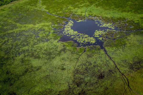 Aerial view of the Okavango delta.