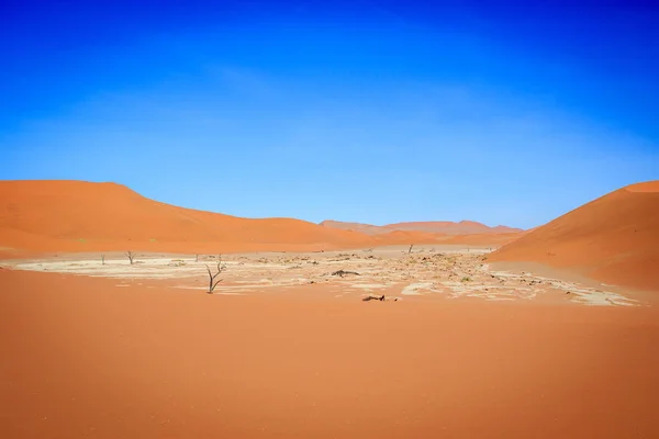 A só serpenyőben, a Deadvlei a halott fák. — Stock Fotó