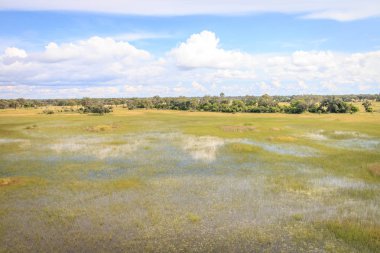 Okavango Delta hava resmi.