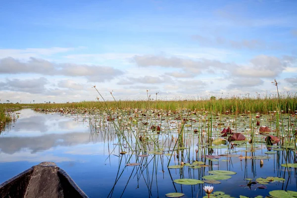 Mokoro tekne turu Okavango Deltası'nda.