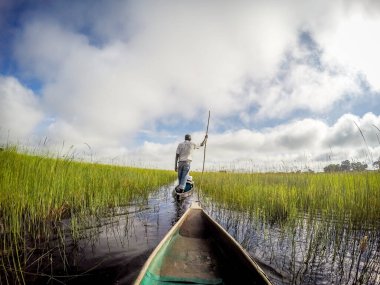 Okavango deltasında Mokoro kanosu gezisi..