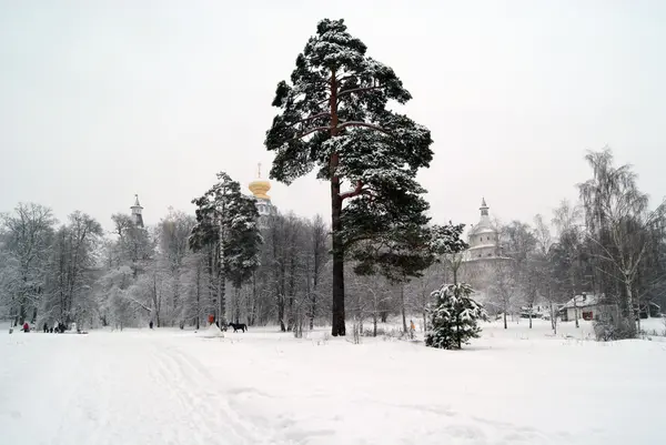Yeni Kudüs. Manastırı. ıstra. Rusya