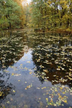 Manor Park Vorontsov. Köy Bykovo. Rusya