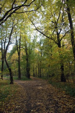 Manor Park Vorontsov. Köy Bykovo. Rusya