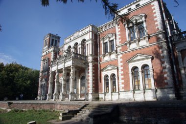 Manor Vorontsovo. Köy Bykovo. Belgili tanımlık varoş. Rusya