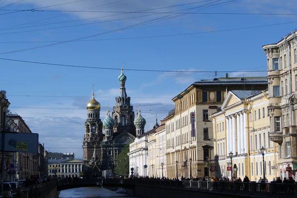 Saint-Petersburg. Kültür başkenti. Rusya
