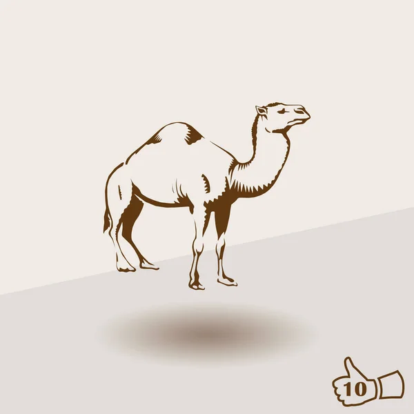 Teve ikonra. sivatagi állat — Stock Vector