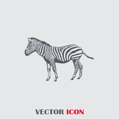Zebra vektör hayvan simgesi