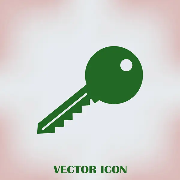 Icône web vectoriel clé — Image vectorielle