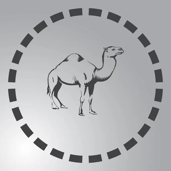 Kameel pictogram. woestijn dieren — Stockvector