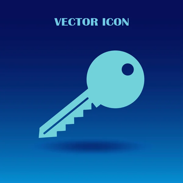 Icono web vector clave — Vector de stock