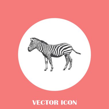 Zebra vektör web simgesi