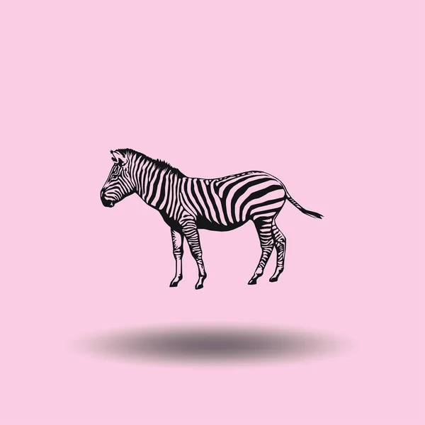 Ícone animal do vetor da zebra —  Vetores de Stock