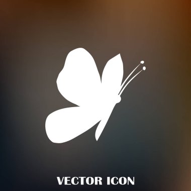 Kelebek vektör web simgesi