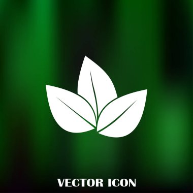 Yaprak ikonu vektör illüstrasyonu