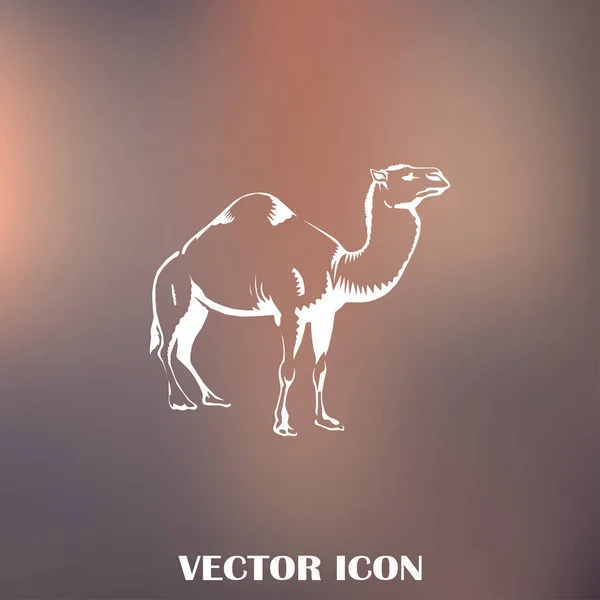 Icône de chameau. animal du désert — Image vectorielle