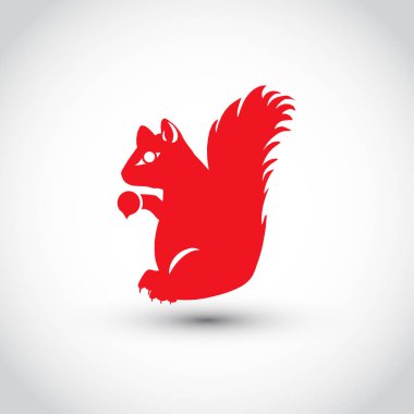 Orman hayvan sincap. Doğa nesneleri yaban hayatı memelilerin.