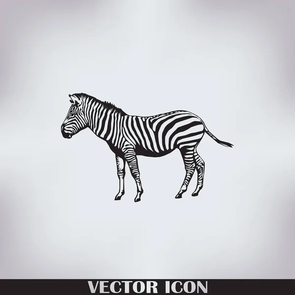 Icône d'animal vecteur zèbre — Image vectorielle