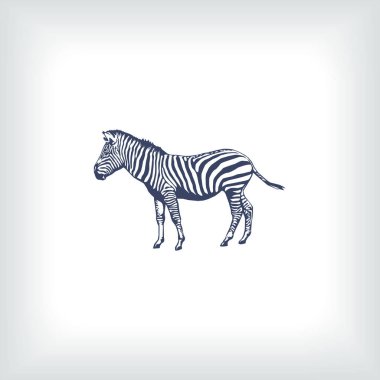 Zebra vektör web simgesi