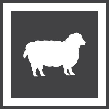 Renk koyun yün tüm büyüme ile. Cloven-hoofed çiftlik hayvan beyaz koyun, kavram gıda kroki çizimi