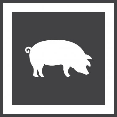 Domuz simgesi. Domuz simgesi. Domuz vektör çizim