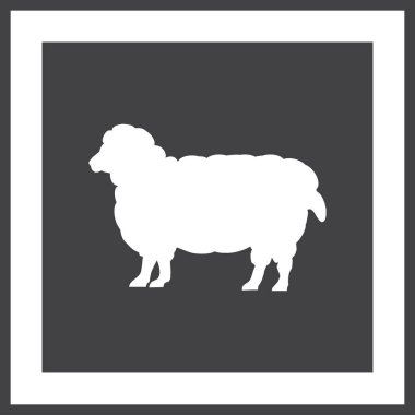 Renk koyun yün tüm büyüme ile. Cloven-hoofed çiftlik hayvan beyaz koyun, kavram gıda kroki çizimi