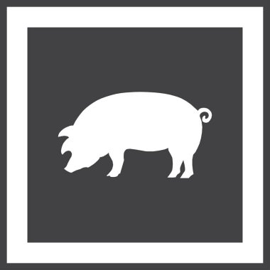 Domuz simgesi. Domuz simgesi. Domuz vektör çizim